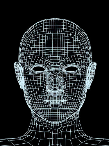 head-person-3d-grid-4346341