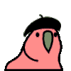 :beretparrot: