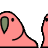 :reversecongaparrot: